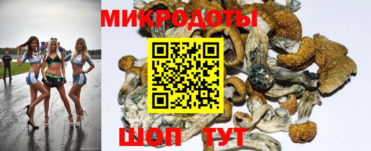 Псилоцибиновые грибы мицелий Уссурийск
