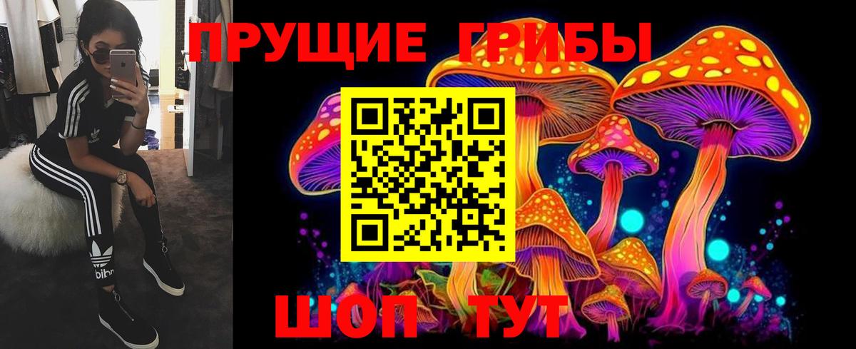 Галлюциногенные грибы ЛСД  Галлюциногенные грибы Psilocybe  Вход с VPN  Уссурийск 